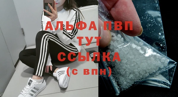СК Болхов