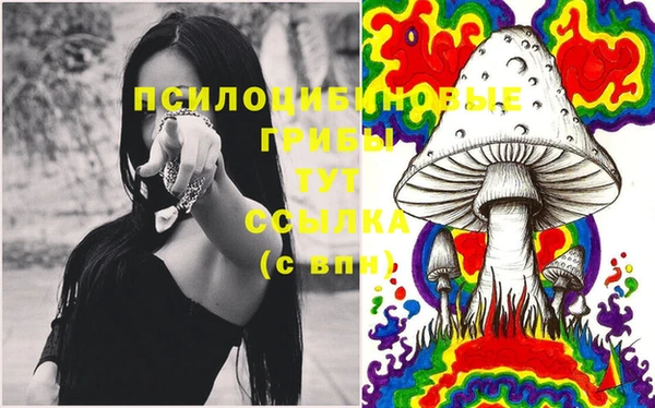 бутират Аркадак